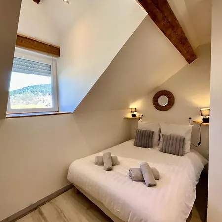 De Robert, Nid De Luxe Au Centre-ville Gérardmer