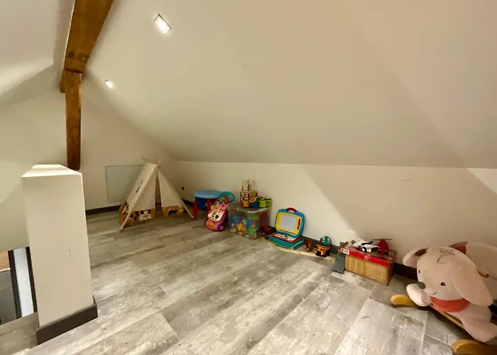 De Robert, Nid De Luxe Au Centre-ville Gérardmer