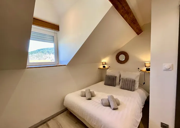 De Robert, Nid De Luxe Au Centre-ville Gérardmer