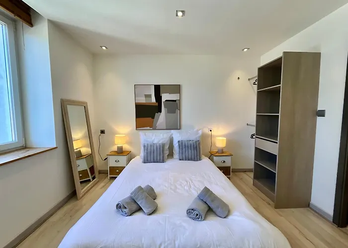 De Robert, Nid De Luxe Au Centre-ville * Gérardmer